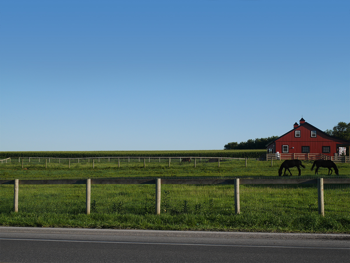 Amish Countryside