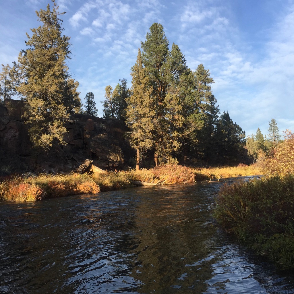 Tumelo State Park, Bend